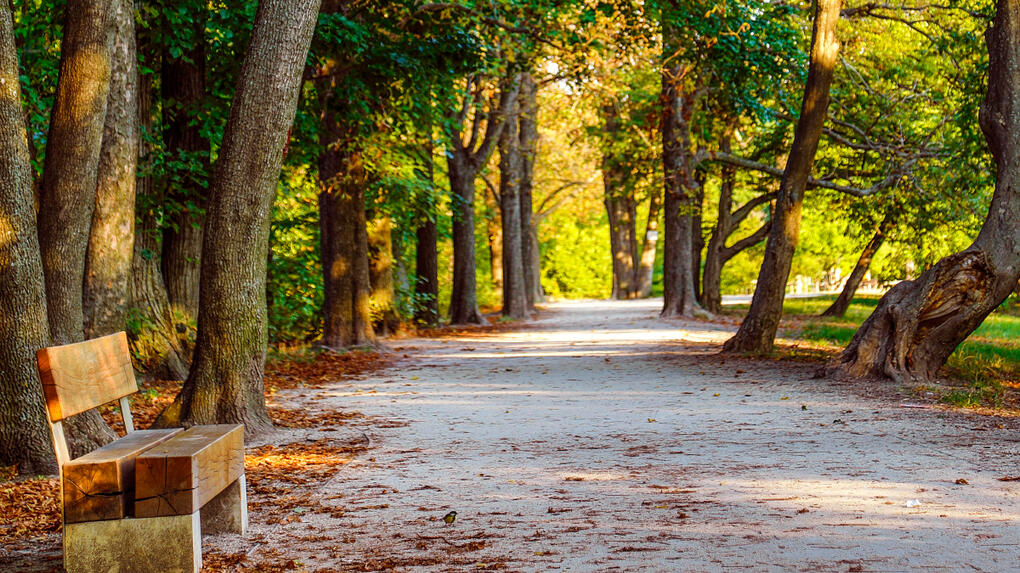 📍 Normafa Park Egy eldugott park a Gellért-hegy oldalában, ahol filozófusok szobrai között sétálhatsz, lenyűgöző kilátással a városra.